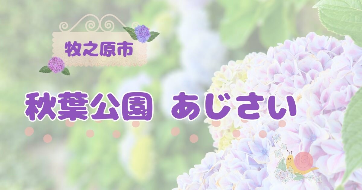 秋葉公園あじさい